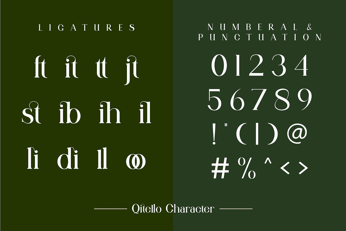 Qitello Ligature Serif Typeface, a Serif Font by Alfinart (Photo 9 of 10)