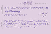 Elly Sandeo Wedding Cyrillic font, a Script Font by IraDvilyuk (Thumbnail 10 of 18)