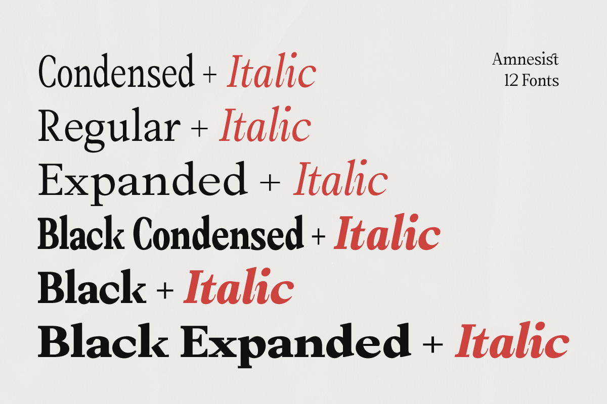 Amnesist | 12 Fonts, a Serif Font by Skinny Type (Photo 4 of 12)
