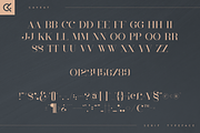 Caveat - Luxury Serif Typeface, a Serif Font by Only Fonts (Thumbnail 8 of 10)