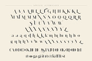Lostgun Sans | Modern Typeface, a Sans Serif Font by Qaratype (Thumbnail 17 of 17)