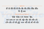 Valverde Functional Serif-36 Fonts, a Serif Font by Jehoo Creative (Thumbnail 9 of 15)