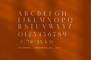 Gandis Elegant Serif Font, a Serif Font by Elegant Font (Thumbnail 7 of 8)