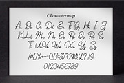 Pether Samantha || Elegant Script, a Script Font by Idea Studio (Thumbnail 5 of 5)