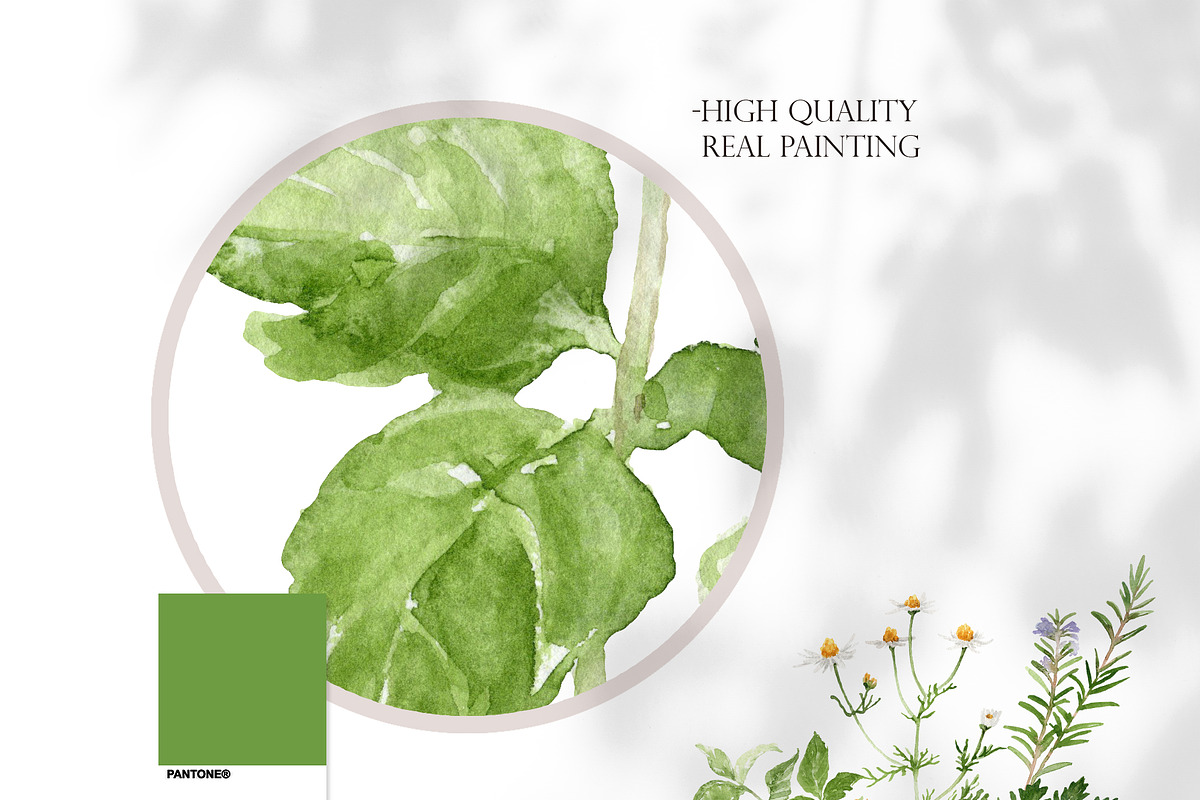 Watercolor HERB GARDEN Clipart, a Decorative Illustration by Beigetime (Photo 2 of 8)