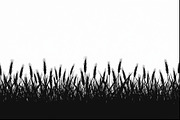 Wheat Field Border Bundle, an Illustration by Designs_River (Thumbnail 3 of 9)