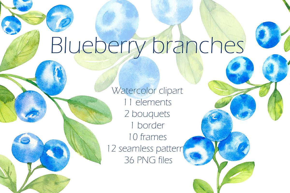 Blueberries, watercolor clipart, a Decorative Illustration by EshaStudio (Photo 2 of 11)