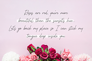 Shinymotion A Monoline Script Font, a Script Font by Allouse Studio (Thumbnail 8 of 10)