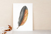 Feather Watercolor Clipart, an Illustration by Libby Wishes (Thumbnail 4 of 7)