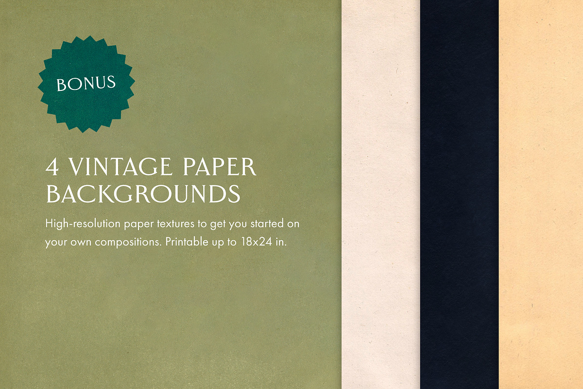 40 Vintage Birds & Branches, an Object Graphic by The Object Atlas (Photo 9 of 9)