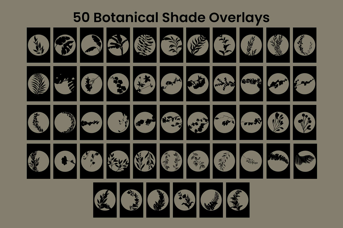 50 Botanical Shade Overlays, a Pattern Graphic by 3Motional (Photo 9 of 17)