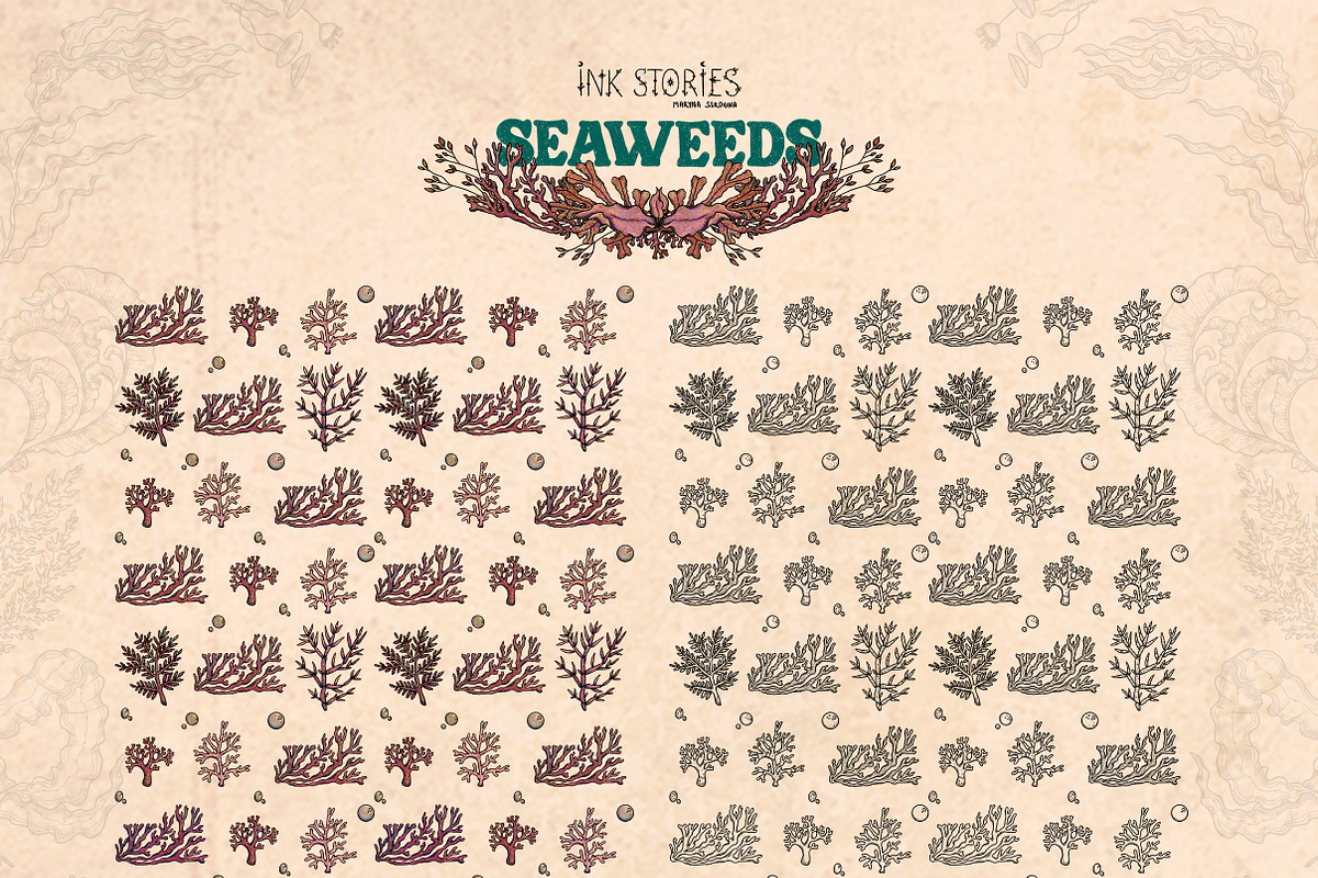 Seaweeds, an Object Illustration by Ink Stories (Photo 20 of 24)