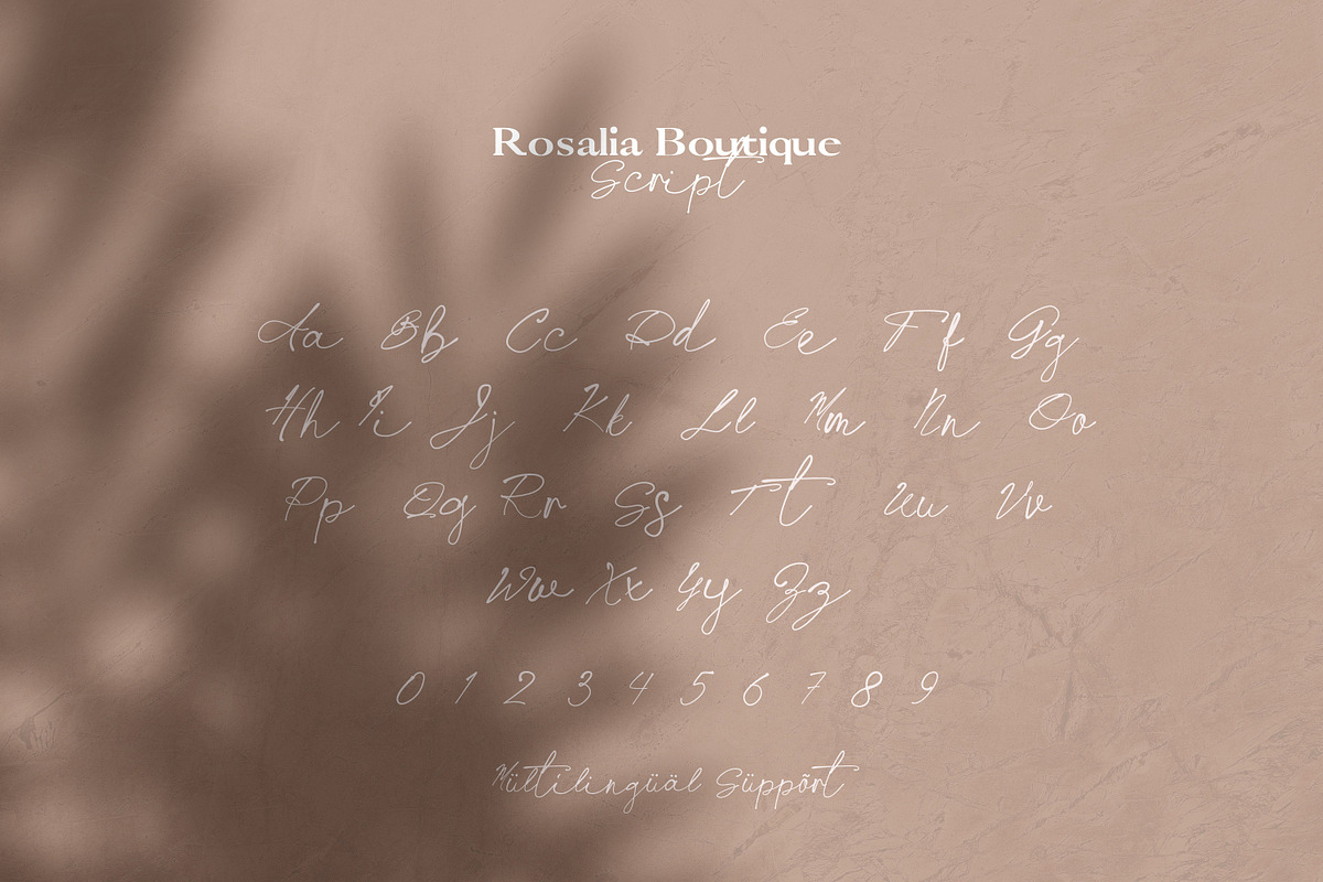 Rosalia Boutique- Handwritten Script, a Script Font by AndrewPixel (Photo 12 of 12)
