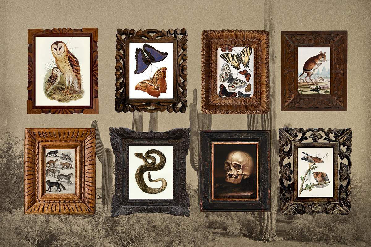 The Warrior Template Bundle, a Social Media Template by The Flossy Finch (Photo 16 of 24)
