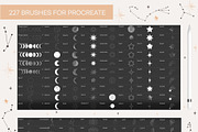 Procreate & Photoshop Brushes Bundle, a Brush Add-On by NinaFedorova (Thumbnail 3 of 11)