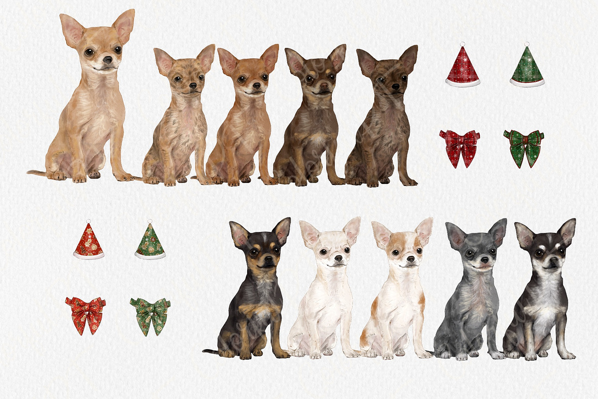 Watercolor Chihuauha png Clipart., an Animal Illustration by ColorfulPT (Photo 2 of 6)