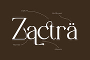 Brastoville - Modern Serif Font, a Serif Font by Rishsketch (Thumbnail 9 of 15)