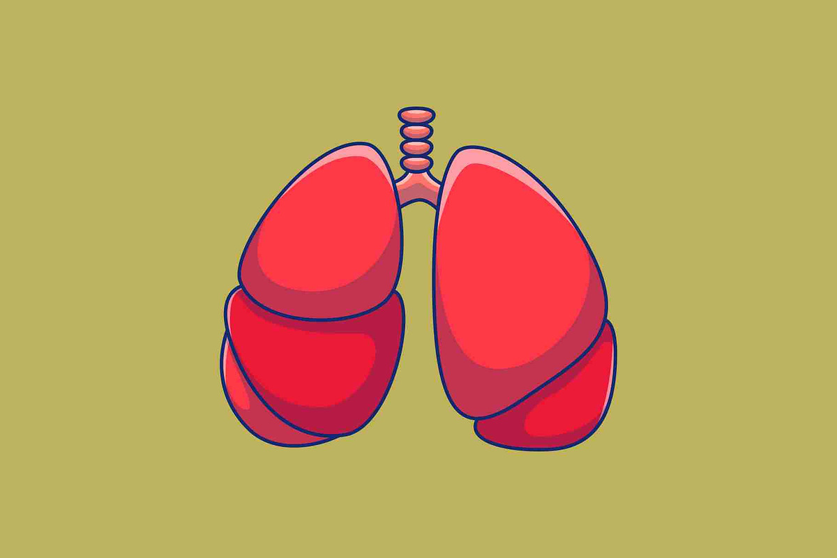 Human Body Internal Set Cartoon, a Person Illustration by Artstorystudio (Photo 9 of 13)