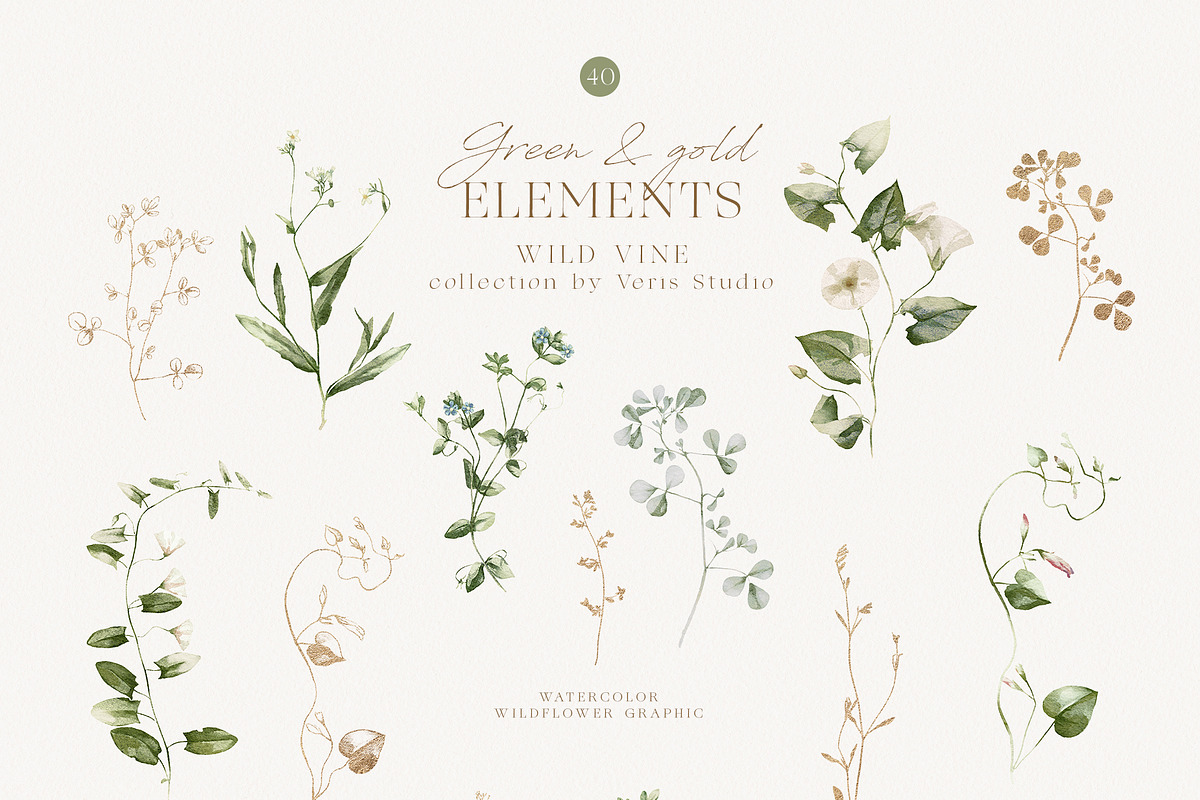 Watercolor Wildflower Floral Green, a Decorative Illustration by Veris Studio (Photo 15 of 15)