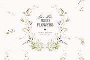 Line-thin watercolor wildflowers, a Decorative Illustration by Pamyatka Shop (Thumbnail 14 of 16)