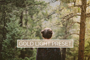 10 Gold Light Lightroom Presets, an Action Add-On by Winsome Effects & Co. (Thumbnail 1 of 4)