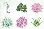 Watercolor Succulent Clipart, an Illustration by Creative Art (Thumbnail 2 of 10)