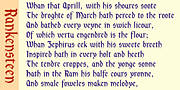 Rankensteen, a Blackletter Font by Ingrimayne Type (Thumbnail 6 of 6)