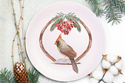 Watercolor Winter Birds Set, an Animal Illustration by MayaNavits (Thumbnail 3 of 5)