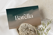 Ginkgo - Modern Classy Serif Font, a Serif Font by Sensatype (Thumbnail 5 of 20)