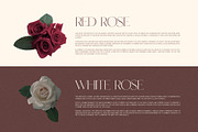 Maven Elegant Serif Font Typeface, a Serif Font by Perfectype (Thumbnail 6 of 10)