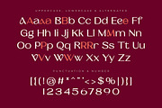 Barium - Luxury Elegant Beauty Sans, a Sans Serif Font by Typia Nesia (Thumbnail 11 of 11)