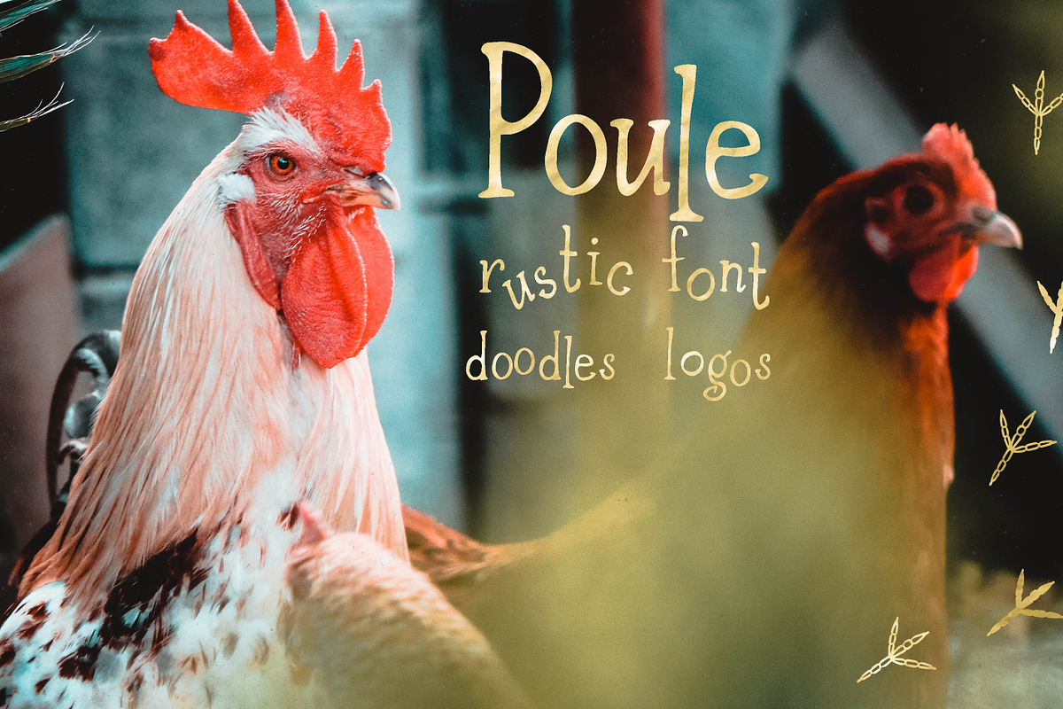 Poule Serif Rustic Font, a Serif Font by LABFcreations (Photo 15 of 16)