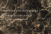 Bulgatry Elegant Serif, a Serif Font by Hishand Studio (Thumbnail 10 of 10)