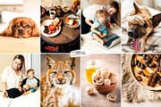 10 Velvet Mocha Lightroom Presets, a Preset Add-On by LucaTheme (Thumbnail 2 of 9)