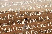 Rowfinde Modern Serif Font, a Serif Font by Storytype Studio (Thumbnail 3 of 15)