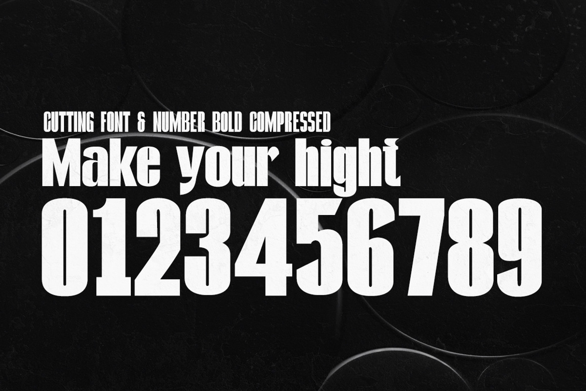 Compressed Contest, a Sans Serif Font by Gatype (Photo 5 of 10)