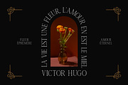 Romira Etoile Elegant Serif Font, a Serif Font by Rasio Studio (Thumbnail 3 of 7)