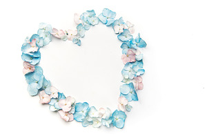 Hydrangea petals forming heart shape on white background, a Nature Photo by Olena Rudo