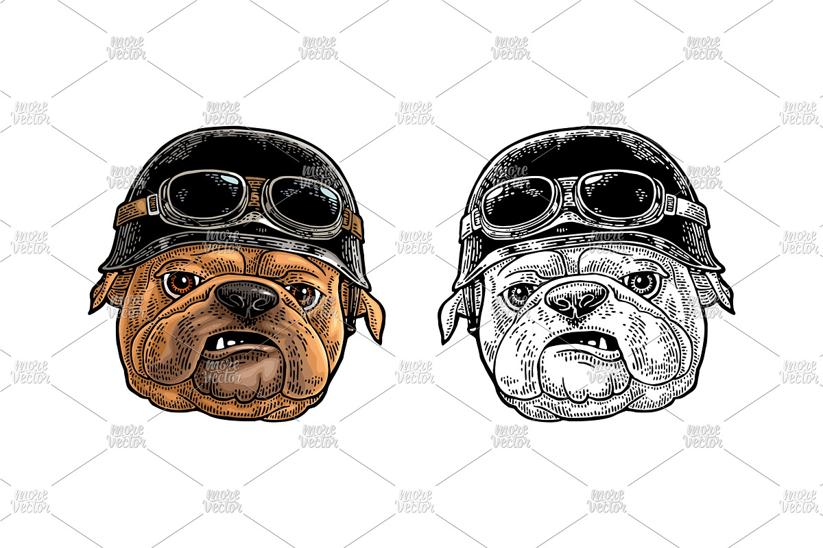 Head dog with human hat, an Animal Illustration by MoreVector (Photo 2 of 4)