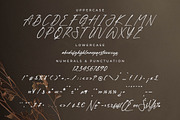 Hanfiye Guesterya Font Duo, a Serif Font by Storytype Studio (Thumbnail 11 of 15)
