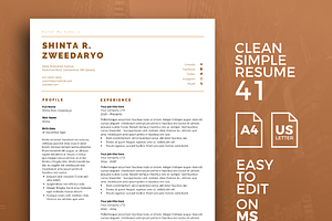 Resume Template 41