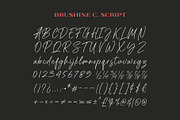 Brushine Collective Font, a Serif Font by trustha (Thumbnail 14 of 15)