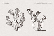 Sketch Cacti Vector Bundle, a Seasonal Illustration by TheMountBirdStudio (Thumbnail 5 of 14)