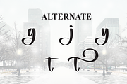 Winter City | Script Font, a Handwritten Font by Scratchones (Thumbnail 8 of 9)