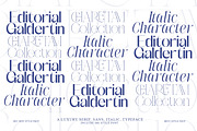Galdertin Charetam | 141 Font Style, a Serif Font by IM Studio (Thumbnail 5 of 12)