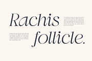Swily Bright | Classy Font, a Serif Font by Jolicia Type (Thumbnail 9 of 11)