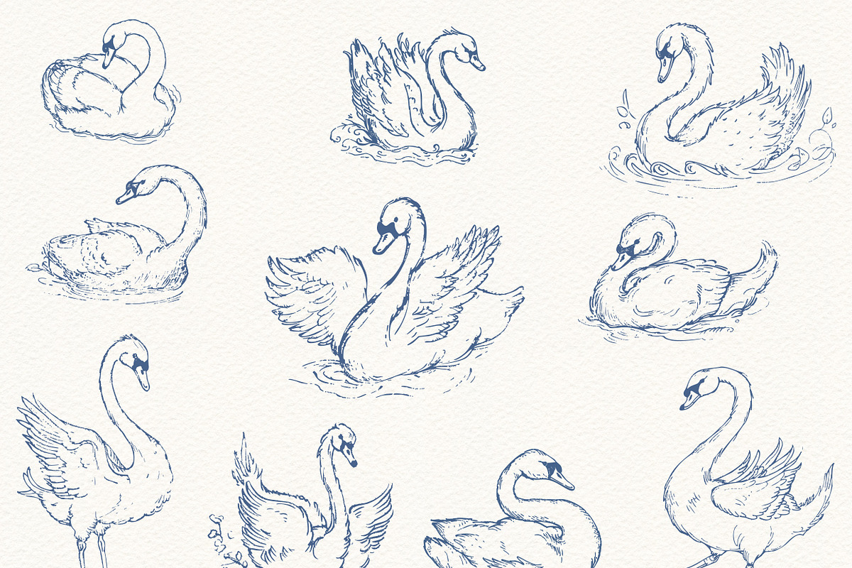 Vintage Swan Lake Clipart Collection, an Animal Illustration by Eyeinspire (Photo 6 of 8)