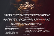 The Beard - Branded Typeface +Extras, a Script Font by Dirtyline Studio (Thumbnail 15 of 15)