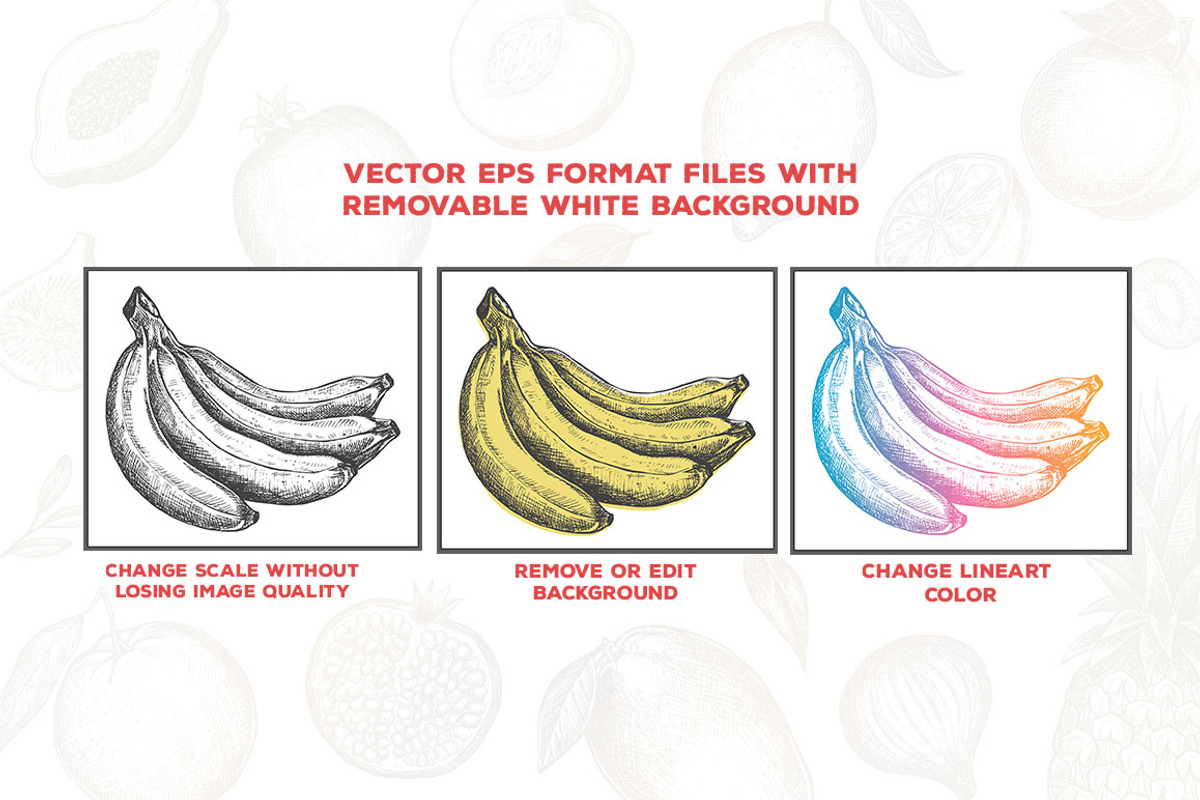 Fruits Illustrations, an Illustration by PicByKate (Photo 3 of 6)