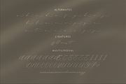 Waittelian Grolinda, a Script Font by Storytype Studio (Thumbnail 14 of 15)